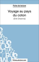 Vanessa Grosjean - Voyage au pays du coton Analyse complete de l'oeuvre