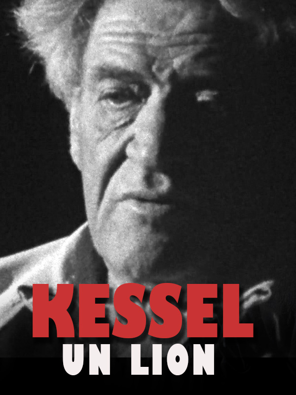 Kessel, un lion