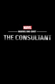Editions uniques Marvel : Le Consultant