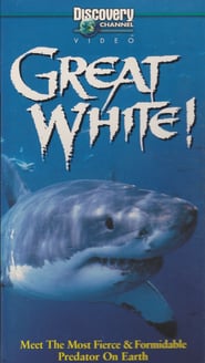 Great White!: Meet The Most Fierce & Formidable Predator On Earth