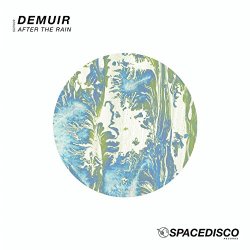 Demuir - After the Rain
