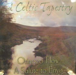 01 Enya - A Celtic Tapestry: Orinoco Flow: A Tribute to Enya by N/A