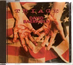 David Baerwald - Triage