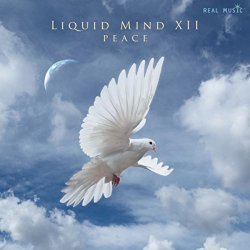 Liquid Mind XII - Liquid MInd XII: Peace