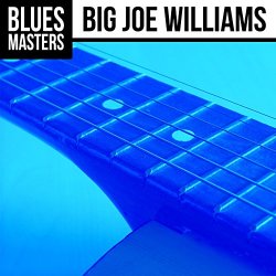 Blues Masters: Big Joe Williams