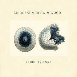 Medeski Martin & Wood - Radiolarians 1