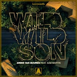 Armin van Buuren - Wild Wild Son