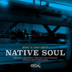 Native Soul - What Is That Isn't'