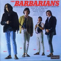 Barbarians, The - Are You A Boy Or Are You A Girl?