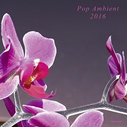   - Pop Ambient 2016