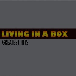 Living In A Box - Room in Your Heart