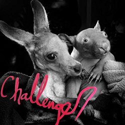 Challenger - The World Is Too Much for Me