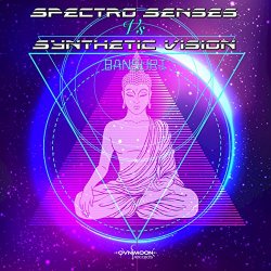 Spectro Senses And Synthetic Vision - Bansuri