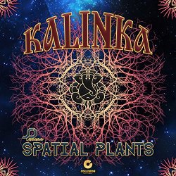 Spatial Plants - Kalinka