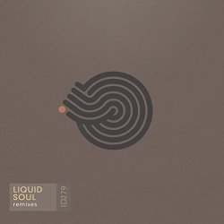 Liquid Souls - Remixes EP