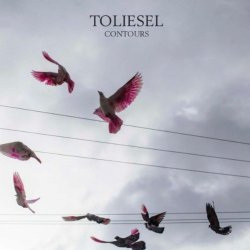 Toliesel - Contours
