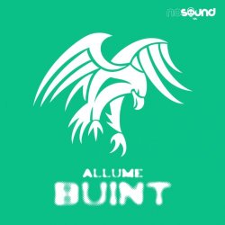 Allume - Buint