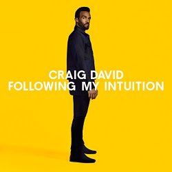 Craig David and Hardwell - No Holding Back