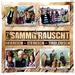 Various Artists - z'sammg'rauscht / bayerisch - steirisch - tirolerisch
