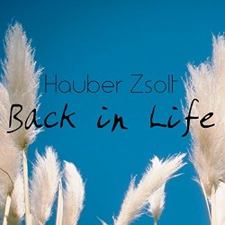 Hauber Zsolt - Back in Life
