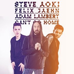 Steve Aoki - Can't Go Home