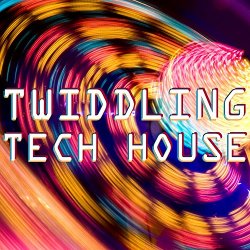 Various Artists - Twiddling Tech House