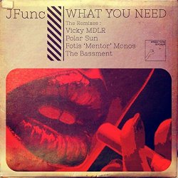 Jfunc - What You Need (The Bassment Remix)