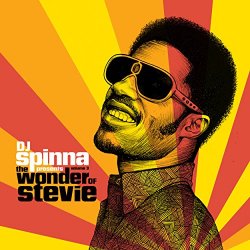Various Artists - DJ Spinna presents the Wonder of Stevie - Volume 3
