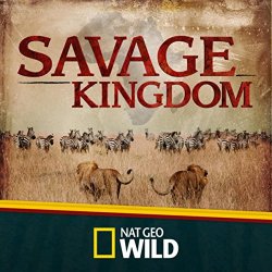 Daniel Suett - Savage Kingdom