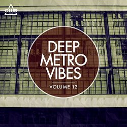 Various Artists - Deep Metro Vibes, Vol. 12