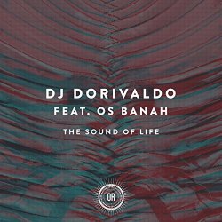 DJ Dorivaldo - The Sound of Life (feat. Afrikan Beatz) [Reprise Beat]