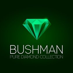 Bushman - You've Changed
