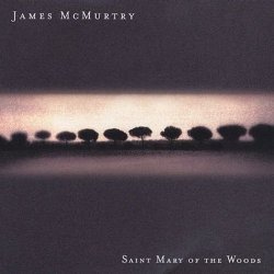 James Mcmurtry - Saint Mary of the Woods