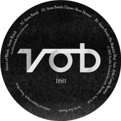 Dj Ross - Atom Bomb (Tanner Ross BWS Mix)