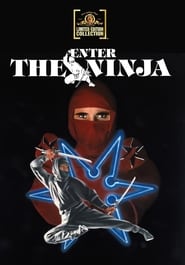 L'implacable ninja