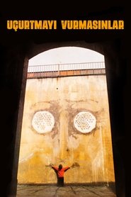 Ne tirez pas sur le cerf-volant