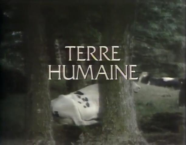 Terre humaine