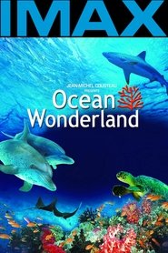 Les Merveilles de l'Océan 3D