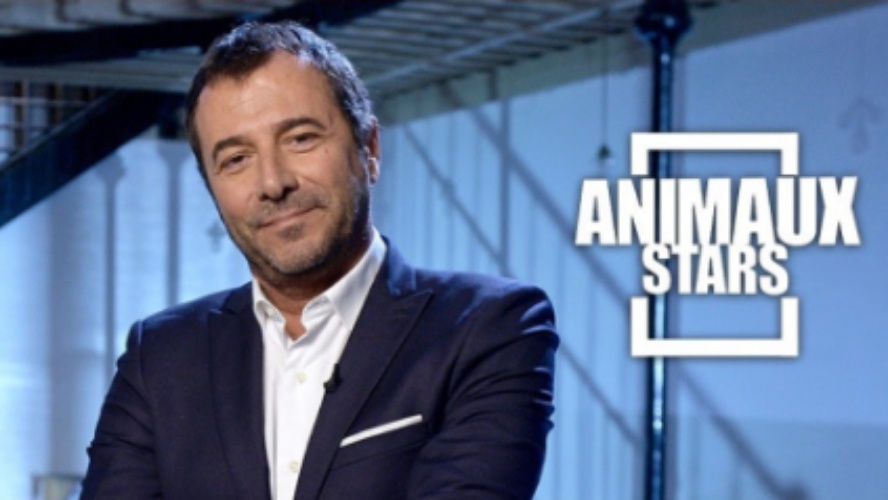 Animaux Stars
