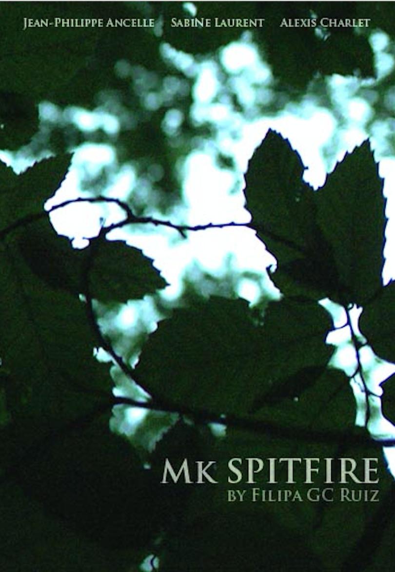 Mk Spitfire