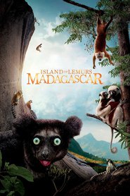 L'île des lémuriens : Madagascar