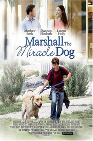 Marshall the Miracle Dog