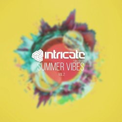 Various Artists - Intricate Records Summer Vibes, Vol. 2