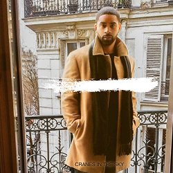 Dave Cirino - Cranes in the Sky