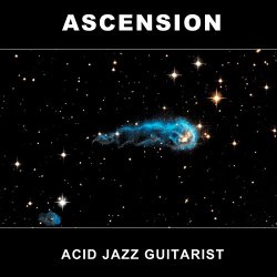 Acid Jazz Guitarist - Ascension