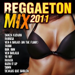 Reggaeton Man Flow - Reggaeton Mix 2011