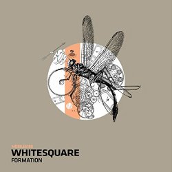 Whitesquare - Formation