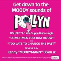 Pollyn - Sometimes You Just Know (Moodymann Remix)