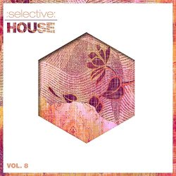 Various Artists - Selective: House, Vol. 8
