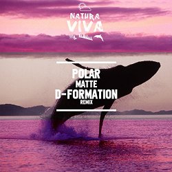 Polar - Matte